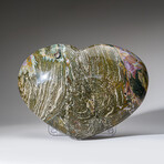 Genuine Polished Ocean Jasper Heart v.1