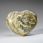 Genuine Polished Ocean Jasper Heart with Metal Stand v.3