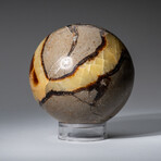 Genuine Polished Septarian Sphere on Acrylic Stand