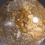 Genuine Polished Ocean Jasper Sphere on Acrylic Stand