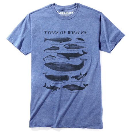 Types of Whales-Silver T-Shirt // Royal Heather (XS)