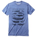 Types of Whales-Silver T-Shirt // Royal Heather (M)