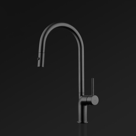 DINO Modern Kitchen Faucet With 2 Jets // Black
