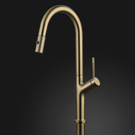 LUCA Modern Kitchen Faucet With 2 Jets // Brushed Gold