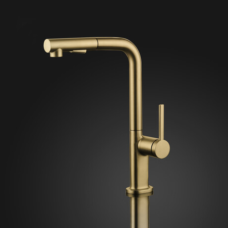 VITO Modern Kitchen Faucet With 2 Jets // Brushed Gold