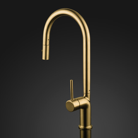 DINO Modern Kitchen Faucet With 2 Jets // Brushed Gold