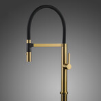 ENZO Modern Kitchen Faucet With 2 Jets // Brushed Gold