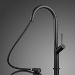 LUCA Modern Kitchen Faucet With 2 Jets // Black
