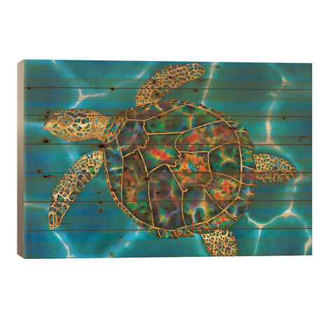 Rainbow Opal Turtle by Daniel Jean-Baptiste (18"H x 26"W x 1.5"D)