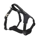 Geo-prene 2-in-1 Shock Absorbing Neoprene Padded Reflective Dog Leash + Harness // Black (Small)