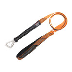 Geo-prene 2-in-1 Shock Absorbing Neoprene Padded Reflective Dog Leash + Collar // Orange (Small)