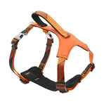 Geo-prene 2-in-1 Shock Absorbing Neoprene Padded Reflective Dog Leash + Harness // Orange (Small)