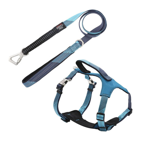 Geo-prene 2-in-1 Shock Absorbing Neoprene Padded Reflective Dog Leash + Harness // Blue (Small)