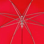 Studs and Skulls Umbrella // Red