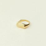 Flore Irregular Ring // Gold (7)