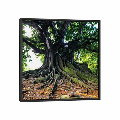 A Large Tree With Branchy Roots by Ievgeniia Bidiuk (12"H x 12"W x 1.5"D)