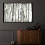 Birch Wood by PhotoINC Studio (18"H x 26"W x 1.5"D)