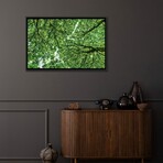 Tree Tops, Connemara, County Galway, Ireland by Mark Paulda (18"H x 26"W x 1.5"D)