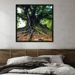 A Large Tree With Branchy Roots by Ievgeniia Bidiuk (12"H x 12"W x 1.5"D)