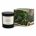 ENVIRONMENT Bundle // Lotion + Hand Soap + Candle // Inspired by Diptyque Baies® - Baies | Currants | Quince