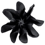 KAZbrella Compact // Black