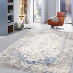 Turkish Efes L. Gray Area Rug v.2