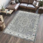 Turkish Heritage Grey Area Rug v.1 (3' 0'' X 5' 0'')