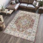 Turkish Heritage Rust Area Rug v.1 (3' 0'' X 5' 0'')