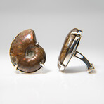 Genuine Opalaized Ammonite Sterling Silver Cufflinks