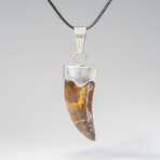 Genuine Carcharodontosaurus Tooth Pendant with 18" Cord Necklace