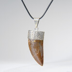 Genuine Africian T-Rex Tooth Pendant on Leather Cord v.2