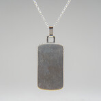 Genuine Muonionalusta Meteorite Dog Tag with 18" Sterling Silver Chain v.3