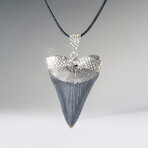 Genuine Megalodon Tooth Pendant with 18" Cord Necklace