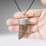 Genuine Africian T-Rex Tooth Pendant on Leather Cord v.2