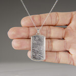 Genuine Muonionalusta Meteorite Dog Tag with 18" Sterling Silver Chain v.1