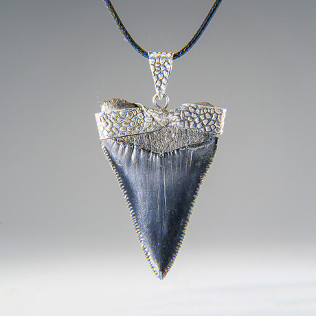 Genuine Megalodon Tooth Pendant with 18" Cord Necklace