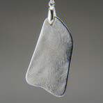Genuine Muonionalusta Freeform Meteorite Pendant with 18" Sterling Silver Chain v.4