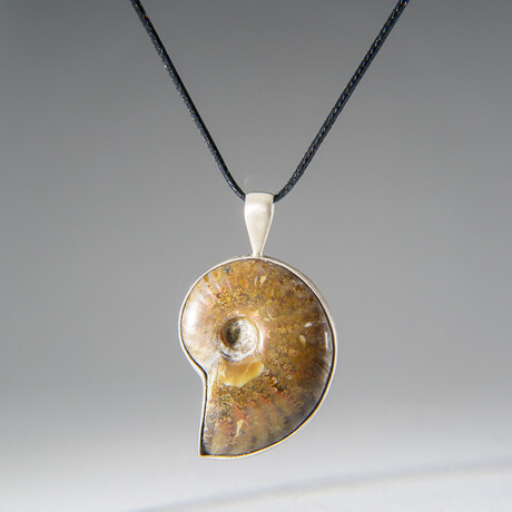 Genuine Opalized Ammonite Fossil Pendant with 18" Cord Necklace