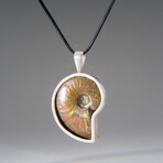 Genuine Opalized Ammonite Fossil Pendant with 18" Cord Necklace