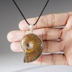 Genuine Opalized Ammonite Fossil Pendant with 18" Cord Necklace