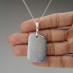 Genuine Muonionalusta Freeform Meteorite Pendant with 18" Sterling Silver Chain v.6