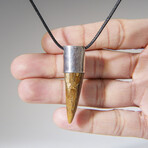 Genuine Spinosaurus Tooth Pendant with 18" Cord Necklace