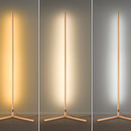 RGBCW Nook Floor Lamp // Gold (1 Pack)