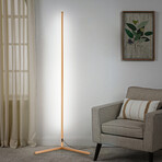 RGBCW Nook Floor Lamp // Gold (1 Pack)