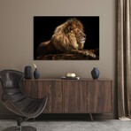 Golden Lion by David Stribbling (18"H x 26"W x 1.5"D)