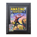 Spider-Man First Appearance Framed Print Signed By Stan Lee