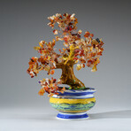 Genuine Carnelian Bonsai Gemstone Tree in Round Ceramic Pot 8.5”