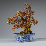 Genuine Carnelian Bonsai Gemstone Tree in Square Ceramic Pot 12”
