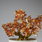 Genuine Carnelian Bonsai Gemstone Tree in Oval Ceramic Pot 8”