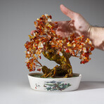 Genuine Carnelian Bonsai Gemstone Tree in Oval Ceramic Pot 9”